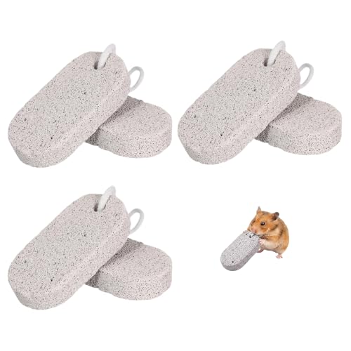HORREX 6 Pièces Pierre de Broyage Minérale Jouet pour Lapin Matériau sûr