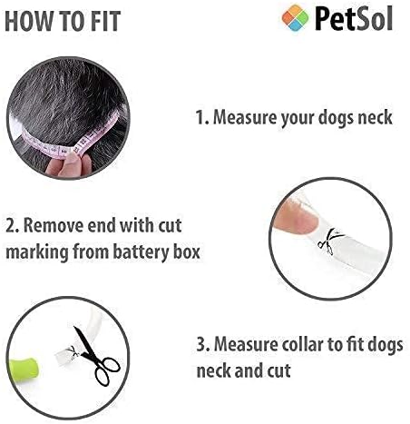 PetSol LED Dog Collar  USB Rechargeable Flashing Light Up Dog Collar. Fits Any Size Cat, Dog or Puppy - Small, Medium & Large. Ultra Bright Glow Safety Collar For Pets (Green)