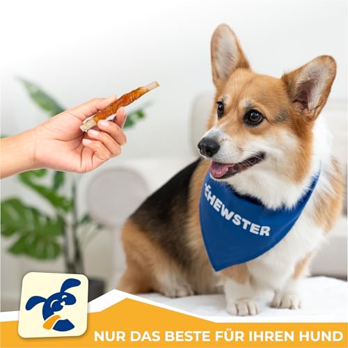 CHEWSTER Kaustangen für Hunde mit Huhn – Hundeleckerli - 85 Kaurollen für Hunde (800 g)