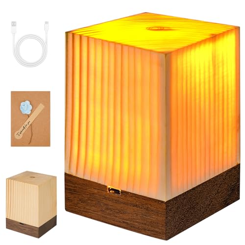 Fanesen Nachtlicht Nachttischlampe Touch Dimmbar, AtmosphäRe Tischlampe Stilllicht für Schlafzimmer Wohnzimmer, USB Aufladbar Stilllicht Touch Lampe, Tragbar Nachtlicht, Geschenk für Freunde