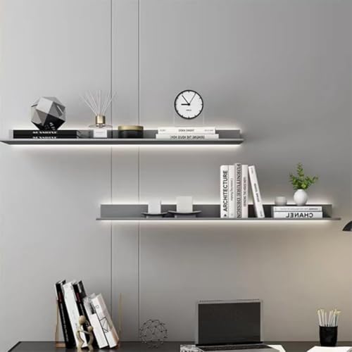 Étagère murale flottante en métal avec LED intégrée pour décoration et plantes