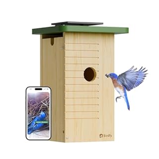 Birdfy Smart Bird House with Camera Solar Powered, 1080HD Live Video & Night Vision for 24/7 Nesting Recording, Auto Detect & Notify, Ideal Nature Gift for Bird Lovers, AI Identify Lifetime Free