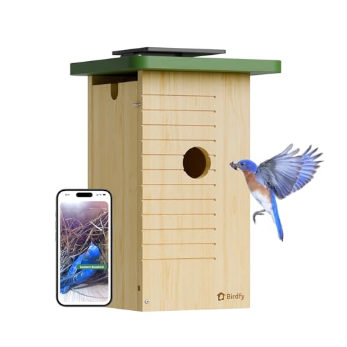 Birdfy Smart Bird House with Camera Solar Powered, 1080HD Live