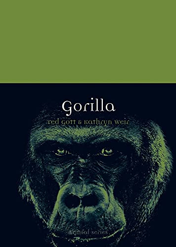 Gorilla (Animal) Gorilla (Animal)