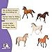 Schleich Horse Club - 5PC Horse Figurine Playset - Realistic Horses for Girls and Boys - Equestrian Toy Set for Kids Ages 5+ | 77725