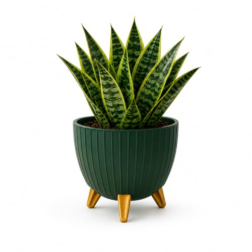 Image of (7 Inch) Plastic Flower Pot for Indoor Outdoor Plants with Stand, Decorative Ribbed Planter Pot with Legs, Round Gamala for Living Room, Pot for Office Table (Green, Pack of 1)