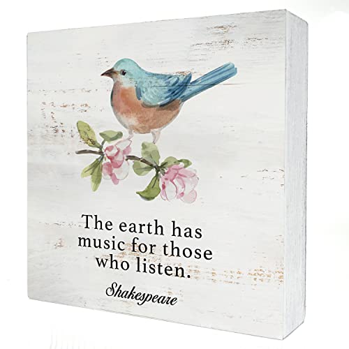 the Earth Has Music Wood Box Sign Home Decor Rustic Bird Spring Wooden Box Sign Block Plaque for Wall Tabletop Desk Home Decoration Bird Lover Gift