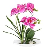 Forma hermosa: Las flores artificiales en maceta están inspiradas en las orquídeas en flor, y las formas de las ramas, hojas y pétalos no son diferentes de las flores reales. Flotando en plena floración en el plato blanco, naturalmente ágil.