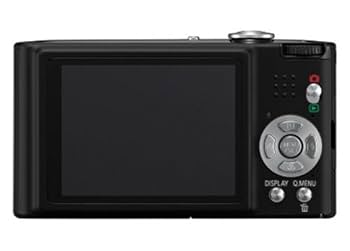 Panasonic Lumix FX40 Digital Camera - Black (12.1MP, 5x
