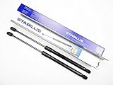 LIEFERUMFANG: 2x Stabilus Gasfeder