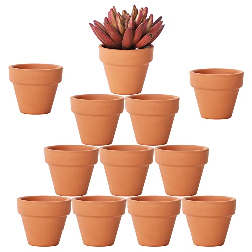 Yishang 1.9 Inch Tiny Terracotta Pots Pack of 12-Small Mini Clay Pots with Drainage Holes Flower Nursery Terra Cotta Planter for Tiny Cactus Herb lithop Succulent Plants Crafts Wedding Favor
