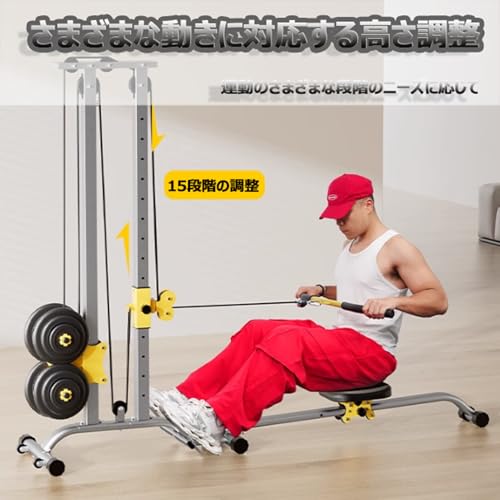 Ikrinefm ラットプルマシン silver