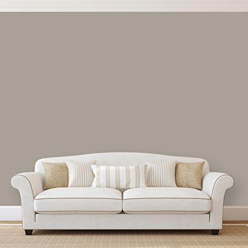 Montage Signature Interior/Exterior Eco-Friendly Paint, Dove Gray, Low Sheen, 5 Gallon #TOP1