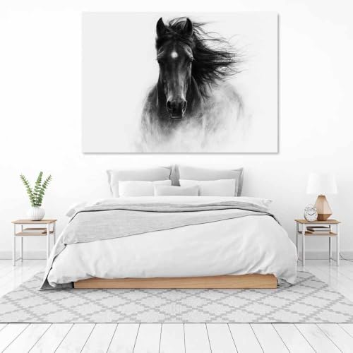 Tableau toile decoration murale cheval noir et blanc - 3