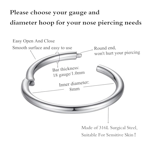 ORANGELOVE Hypoallergenic Nose Rings 20G 18G 16G 14G 12G 10G 8G 316l Surgical Steel Septum Jewelry Hinged Segment Ring Body Piercing Nose Hoop Lip Rings Nose Helix Cartilage Rook Earrings2