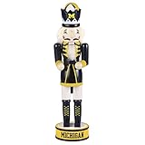 Michigan Wolverines Official NCAA 14 inch 14
