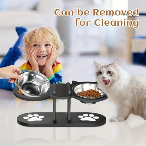 Apujent Lpt[fBOXe[V,\hbOt[h{E | p qEqL ݊ ybg{EZbg