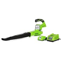 Algopix Similar Product 11 - Greenworks 24V Sweeper 20Ah Battery