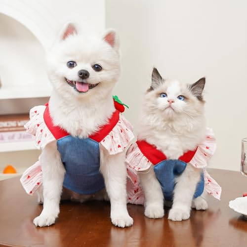 Disfraz cachorro vestido verano denim fresa con correa miniatura 6