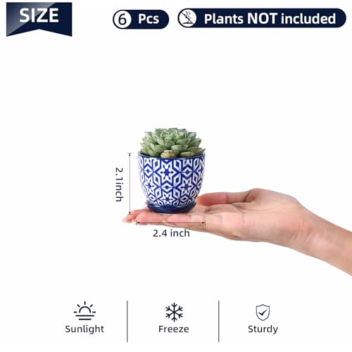 Selamica Ceramic 2.4 Inch Succulent Pots, Mini Succulent Planter Pot for Cactus Plant with Drainage Holes & Saucers, Home Decor, Set of 6, Vintage Blue by Selamica - Used condition - Image 3