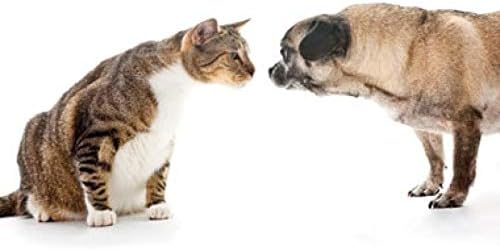 Miniatura 5 de Píldoras antidiarrea para perros  PROBIÓTICOS para mascotas  Perros Gatos  Golosinas para el mal gas y el aliento  Impulso inmunológico avanzado