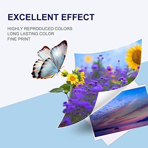 Eston 100Xl Replacement Ink Cartridge Compatible For Lexmark 100Xl Compatible Inkjet For Lexmark Impact Pro802 Pro805 Pinnacle Pro901 Impact S305 Printer 8Pk(2Bk+2C+2M+2Y) #TOP4