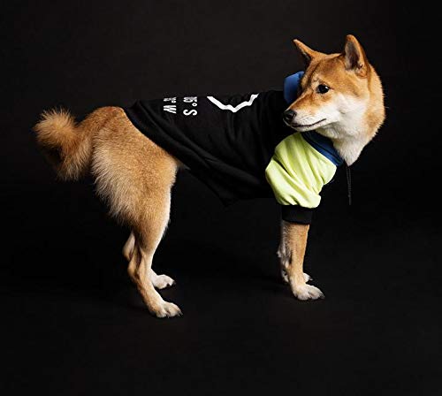 Moletom com Capuz para Cães, Dog Wings, Hoodie Wing, Verde Limão, GG