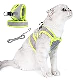 Dotoner Cat Harness and Leash Escape Proof Adjustable Vest for Cats Cat Walking Jacket with Air Mesh