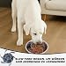 Hunde Langsamer Fressnapf, Anti Schling Napf Hund Silikon, Anti Schling Einsatz für Napf, Slow Feeder Hundenapf Einfügung, Reduzieren Übermäßiges Essen für Hunde und Katzen Schneidbar