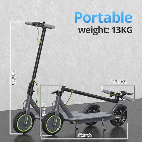 Roinside Electric Scooter - Commuting Made Easy