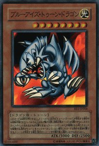 【遊戯王セット】ブルーアイズ・トゥーン・ドラゴン　ブルーアイズ・ホワイトドラゴン キズあり【遊戯王】シークレットレア◇ブルーアイズ・トゥーン