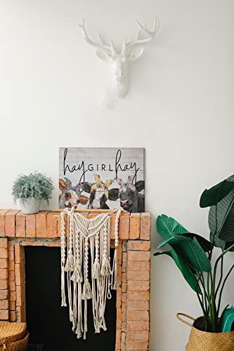 Funny Quote Cute Cows Canvas Wall Art Prints,Hay Girl Hay Wood Texture Paintings Prints,11X14 Inches Artwork For Funny Farm Themed Decor Girl Room Farmhouse Bedroom Living Room Home #TOP2