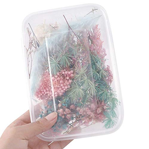 Flores Secas en Caja para Artesanía y Decoración miniatura 6