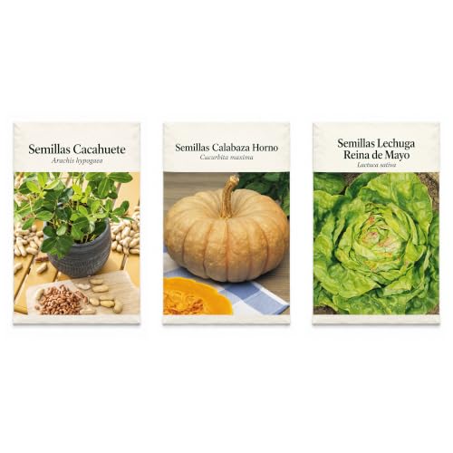 Pack 3 Sobres DECOALIVE: Semillas Cacahuete, Calabaza Horno y Lechuga | Cacahuete, Calabaza Horno y Lechuga Reina de Mayo: Para Diversificar el Huerto Doméstico