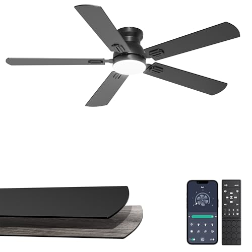 Phylluz Low Profile Smart Fan
