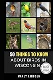 50 Things to Know About Birds in Wisconsin Large Print: Birding in the Badger State (50 Things to Know About Birds - Large Print Series)
