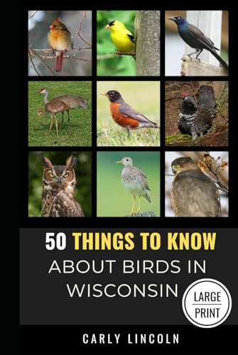50 Things to Know About Birds in Wisconsin Large Print: Birding in the Badger State (50 Things to Know About Birds - Large Print Series)