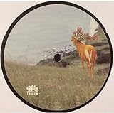 Grnschenkel Remixed [Vinyl Single]