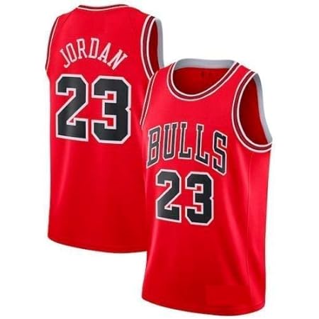 bulls 23 jordan