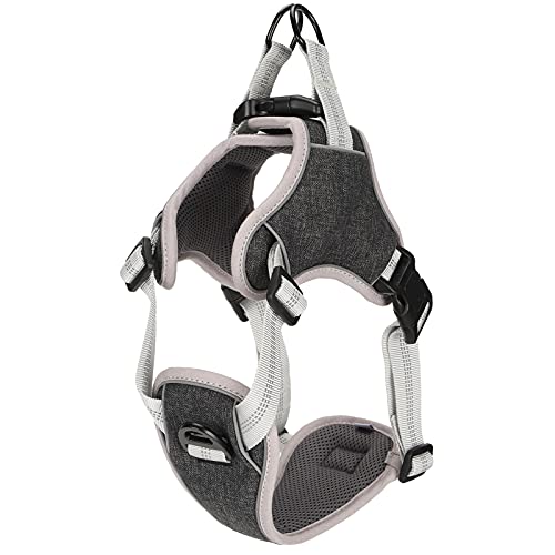 Pettorina regolabile per cani di taglia grande e media, pettorina di sicurezza riflettente anti-smarrimento con design a 360° che allevia la pressione, cinturino toracico con (XXL)
