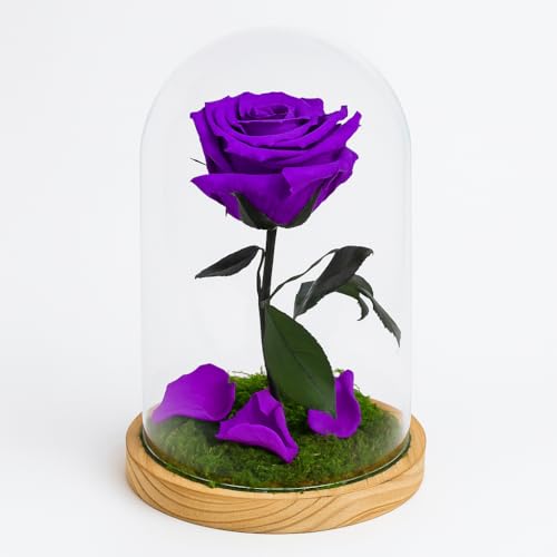 Mundo Eterno Garden Center Shop | Rosa Preservada Lila en Cúpula de Cristal Rosa Natural Eterna Estilo Bella y Bestia | Regalo Romántico y Decorativo | Sin Agua ni Mantenimiento