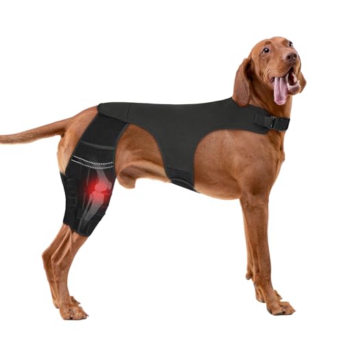 Dog Knee Brace for ACL Tear and Arthritis Recovery Adjustable - Dual Hind Leg Support with Harness Connection - Orthopedic Leg Wrap for Joint Stability and Pain Relief in Small to Large Dog (L)