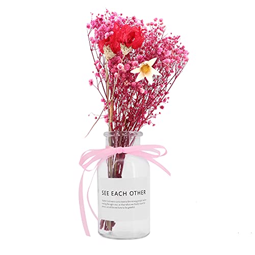 Bouquet de Fleurs séchées Naturelles, Souffle de bébé Branches de gypsophile Naturelles Fleurs séchées avec boîte-Cadeau créative pour décoration de Table de Mariage Vase (Gypsophile) Cover