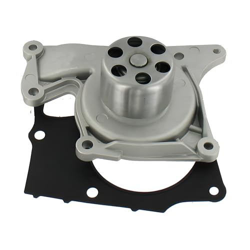 SKF VKPC 86419 Pompa Acqua