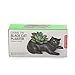 Kikkerland Cosmo The Black Cat Porcelain Planter, for Succulents, Herbs, Indoor/Outdoor House Plants, Home, Garden Decor