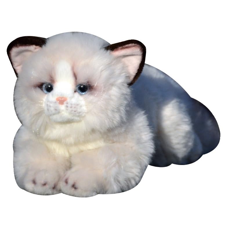Peluche Ragdoll aux yeux bleus | Chaton mignon et tout doux