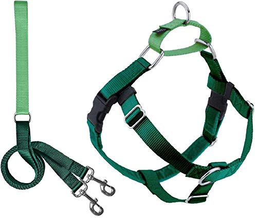2 Hounds Design Freedom No Pull Dog Harness | Adjustable Gentle Comfortable Control For Easy Dog Walking |For Small Medium And Large Dogs | Made In Usa | Leash Included | 1" Md Kelly Green #TOP30