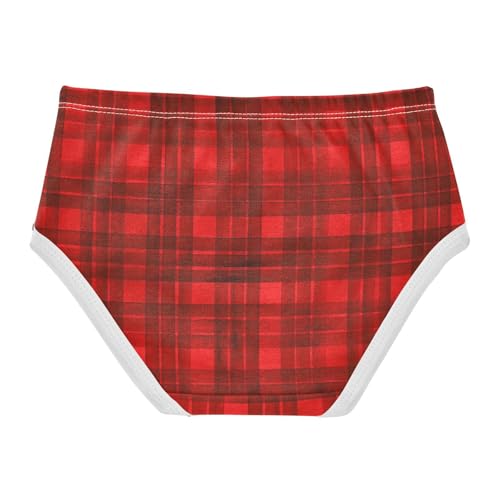 Organic Cotton Panties Underwear Moisture Wicking Breathable Underwear for Girls in Sizes 2T,3T, 4T, 5T, 6Y and 8Y2