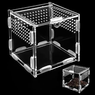 Vylro mini terrarium acrylique 10 cm à fermeture magnétique