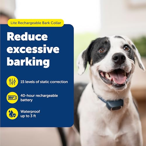 PetSafe Lite Rechargeable Bark Collar for Timid or Little Dogs Over 8 lb., 15 Levels of Automatically Adjusting & Light Static Correction - Rechargeable, Waterproof - Reduces Barking and Whining by PetSafe - Image 2